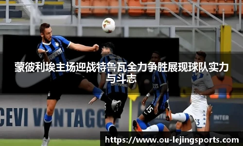 乐竞体育官网