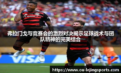 乐竞体育官网入口